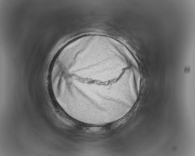 X0000096630151200803041111
