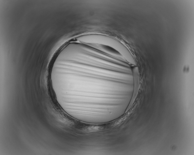 X0000096630152200803041111