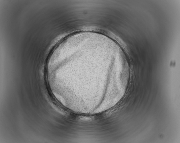 X0000096630155200803041111