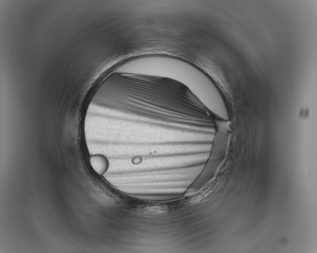 X0000096630156200803041111