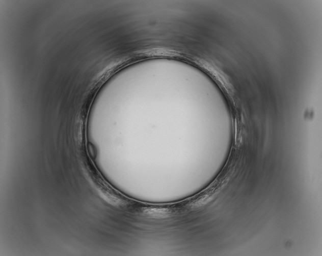 X0000096630157200803041111