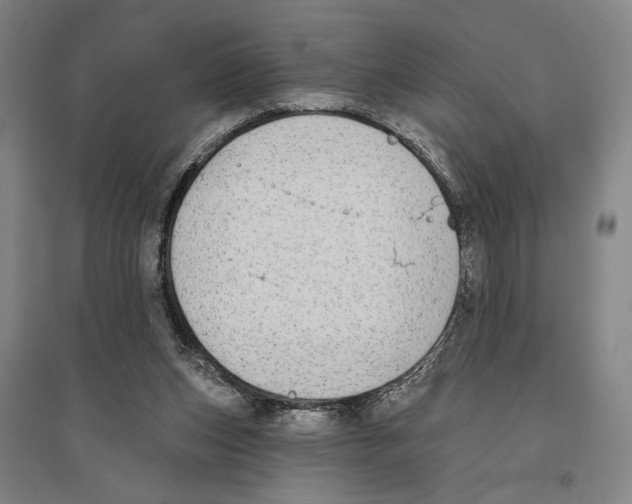 X0000096630159200803041111