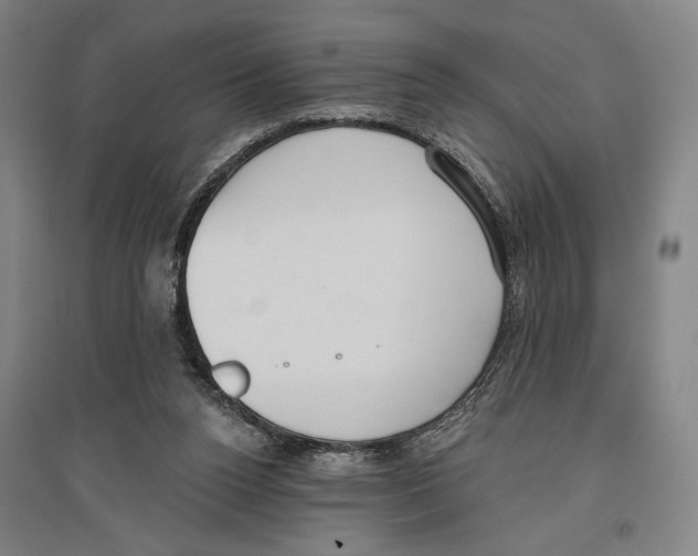 X0000096630160200803041112