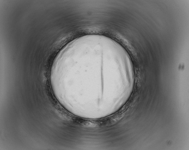 X0000096630161200803041112