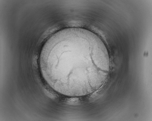 X0000096630162200803041112