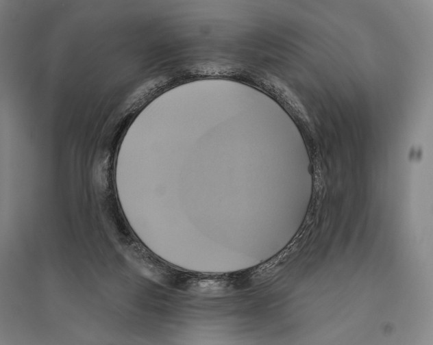 X0000096630163200803041112