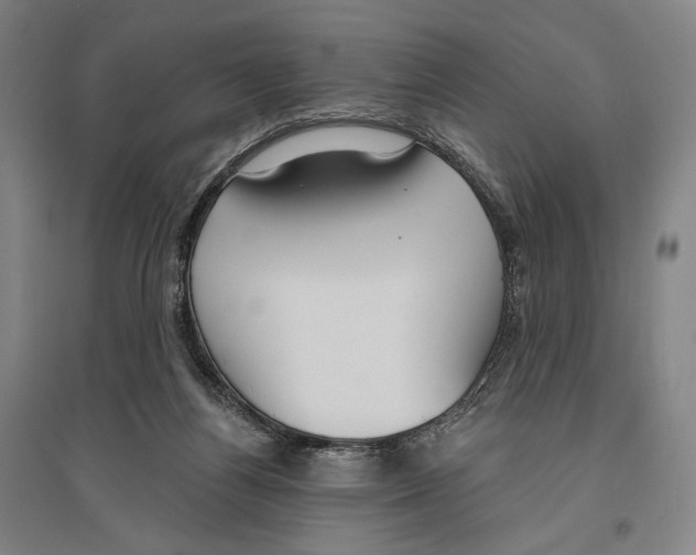X0000096630164200803041112