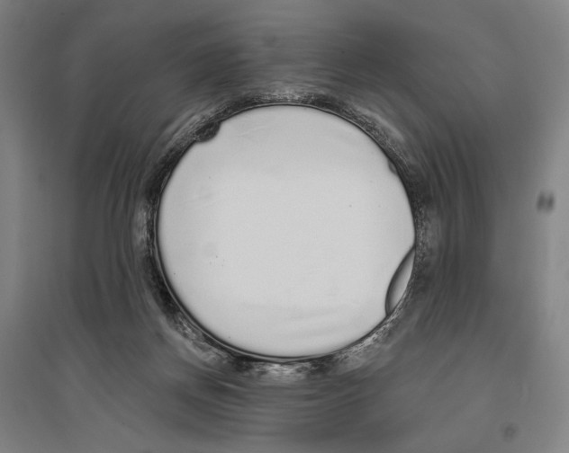 X0000096630166200803041112