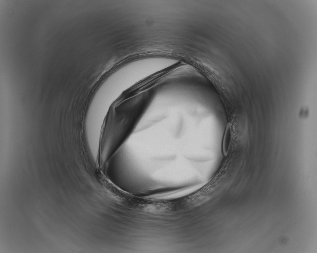 X0000096630168200803041112