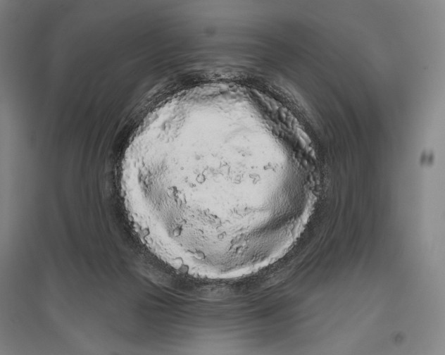 X0000096630169200803041112