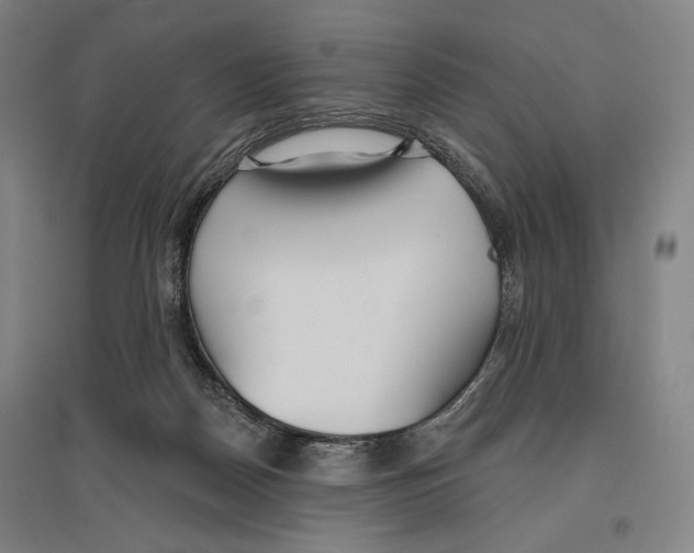 X0000096630170200803041112