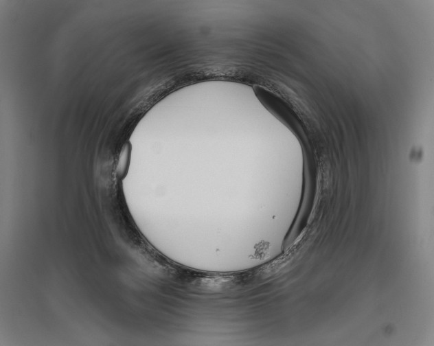 X0000096630172200803041112