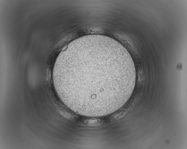 X0000096630173200803041112