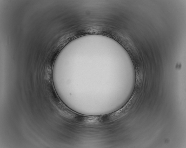 X0000096630175200803041112