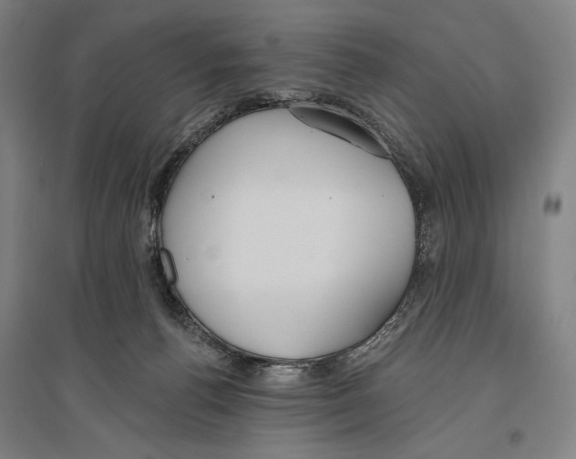 X0000096630176200803041112
