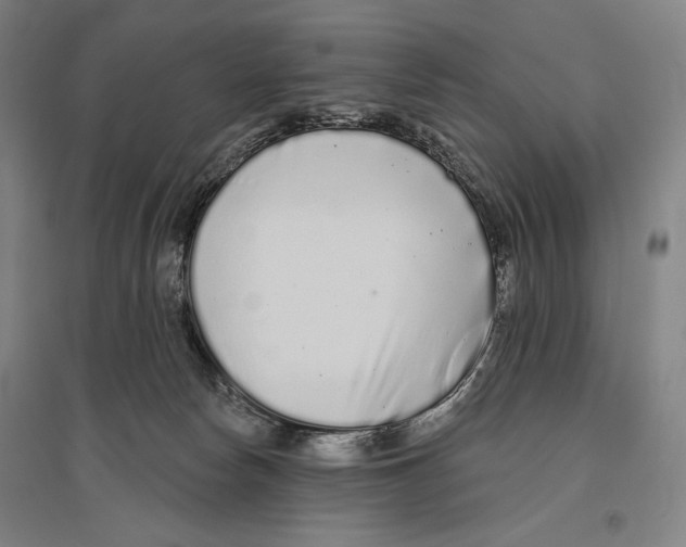 X0000096630178200803041112