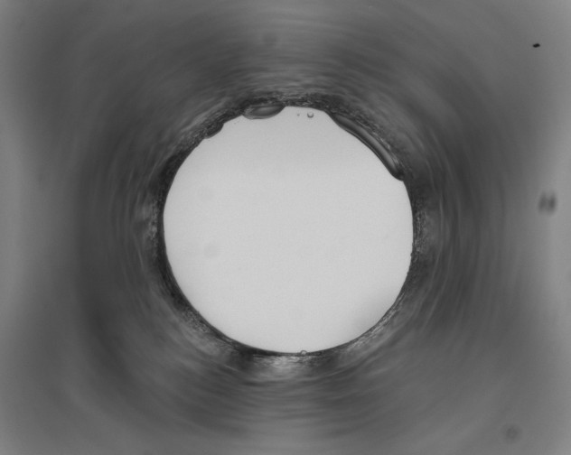 X0000096630184200803041112