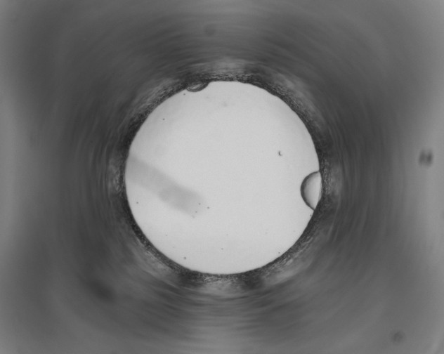 X0000096630185200803041112