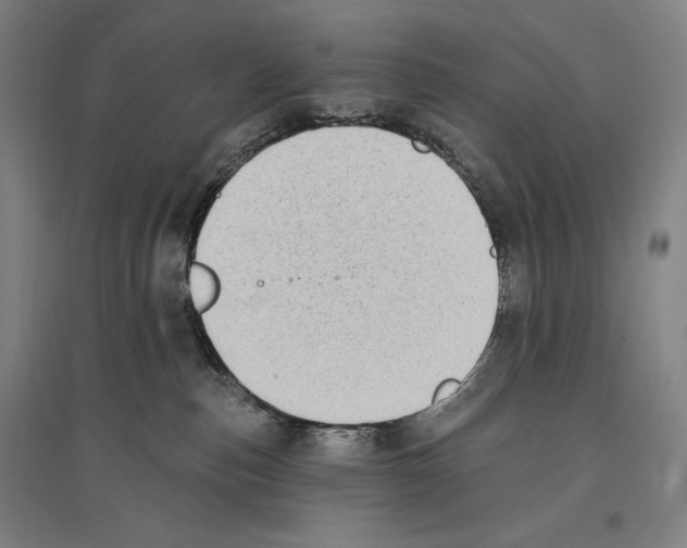 X0000096630187200803041112