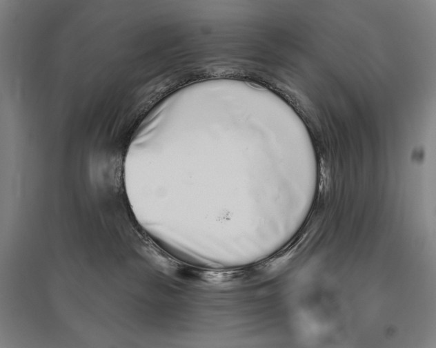 X0000096630189200803041112