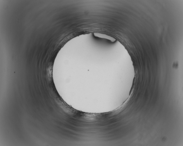 X0000096630190200803041112