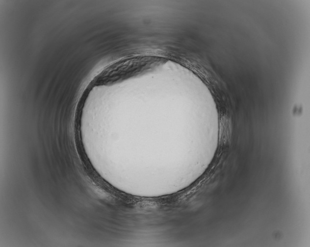 X0000096630195200803041111