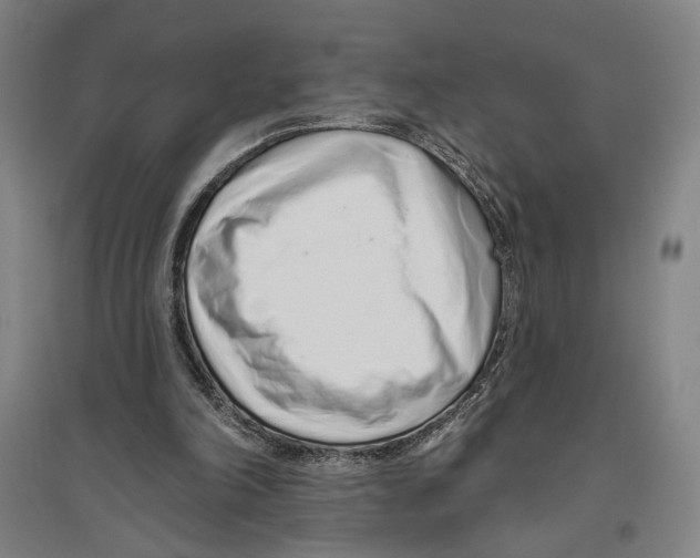 X0000096630198200803041111
