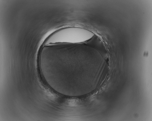 X0000096630200200803041111