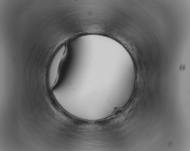 X0000096630201200803041111