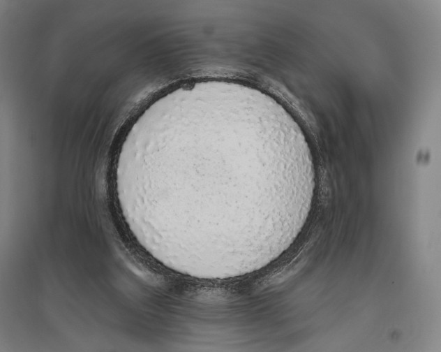X0000096630203200803041111