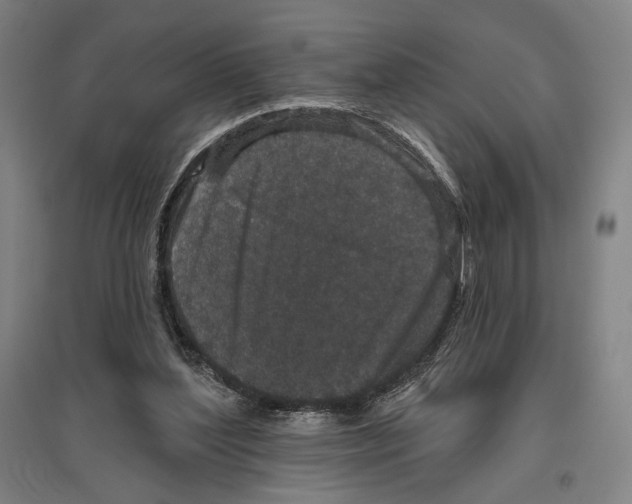 X0000096630204200803041111