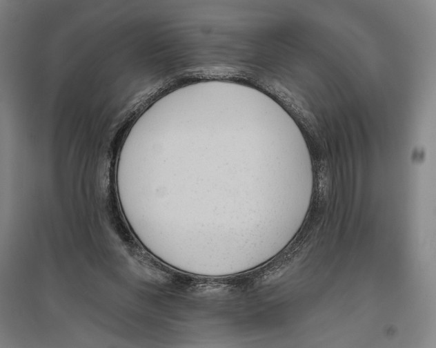 X0000096630206200803041111