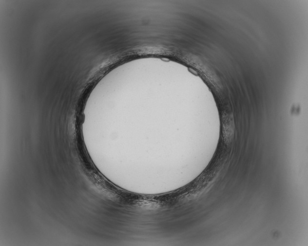 X0000096630207200803041111