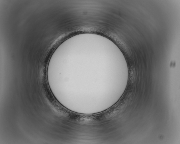 X0000096630208200803041111