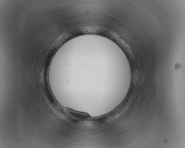 X0000096630209200803041111