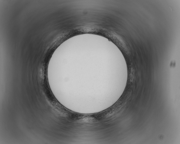 X0000096630210200803041111