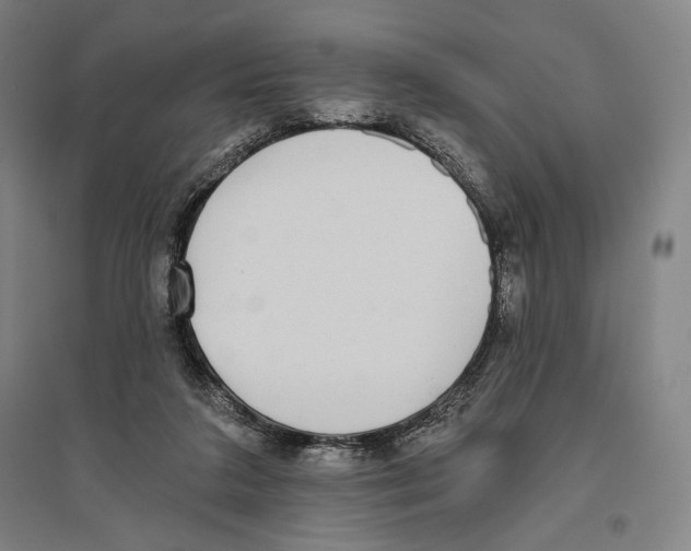 X0000096630211200803041111
