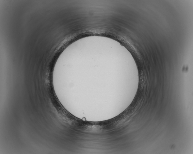 X0000096630212200803041111