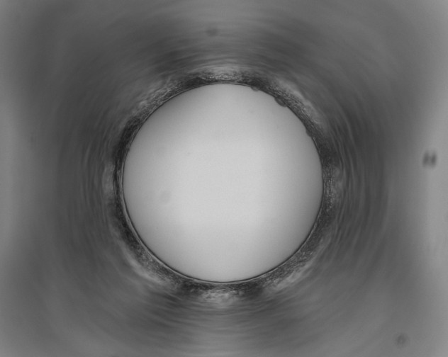 X0000096630213200803041111