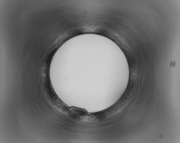 X0000096630215200803041111