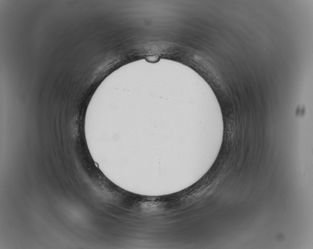 X0000096630216200803041111