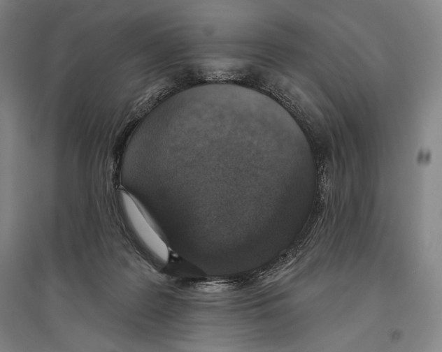 X0000096630219200803041111
