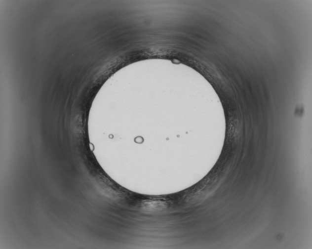 X0000096630220200803041111