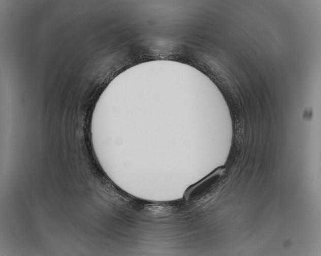 X0000096630221200803041111