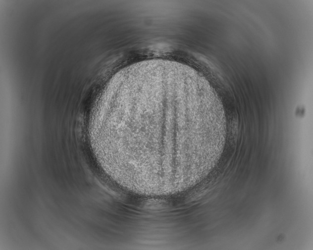 X0000096630222200803041111
