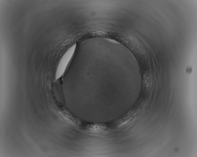 X0000096630223200803041111