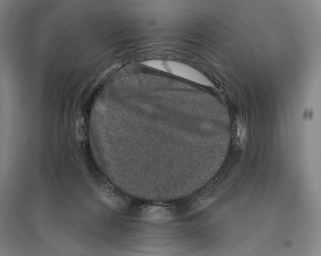 X0000096630224200803041111