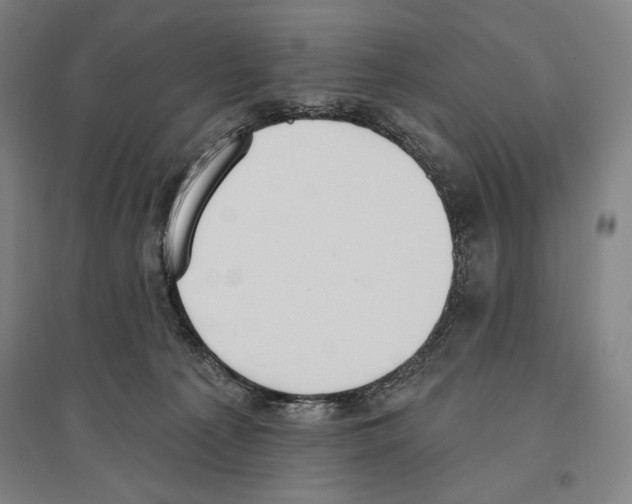 X0000096630225200803041111