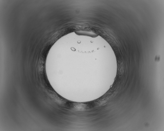 X0000096630226200803041111