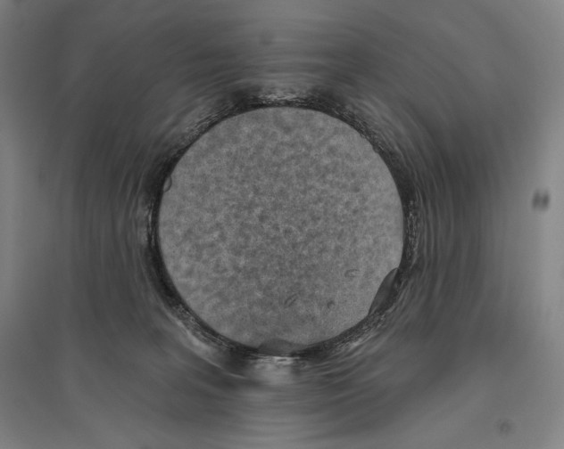 X0000096630227200803041111